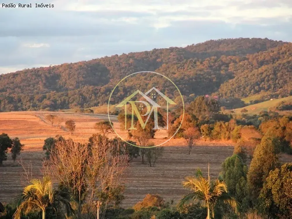 Sítio, 3 quartos, 5 hectares - Foto 4