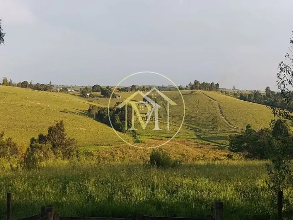 Fazenda, 29 hectares - Foto 7