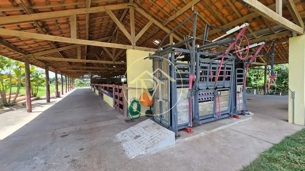 Fazenda, 90 hectares - Foto 3