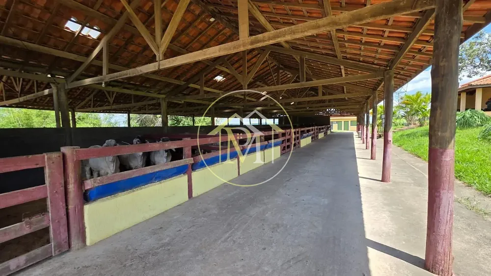 Fazenda, 90 hectares - Foto 7