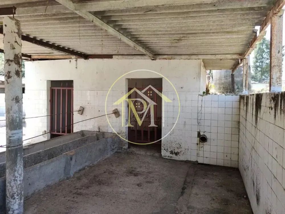 Fazenda, 10 hectares - Foto 8