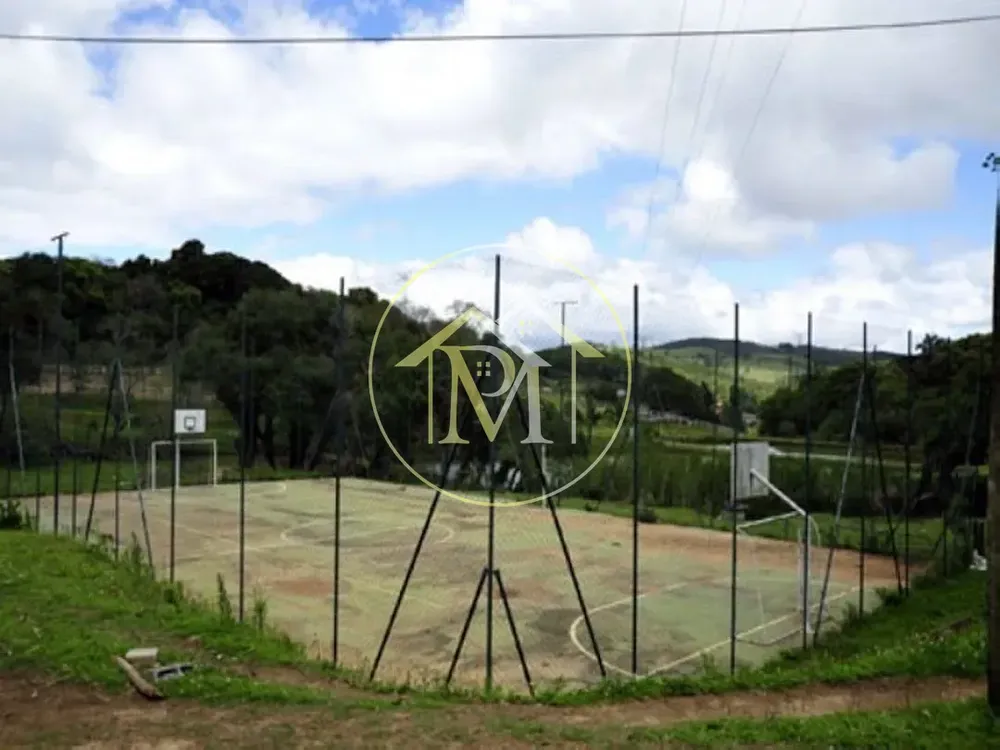 Fazenda, 700 hectares - Foto 2