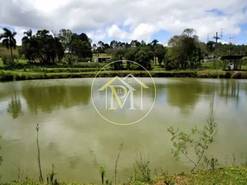 Fazenda, 700 hectares - Foto 7