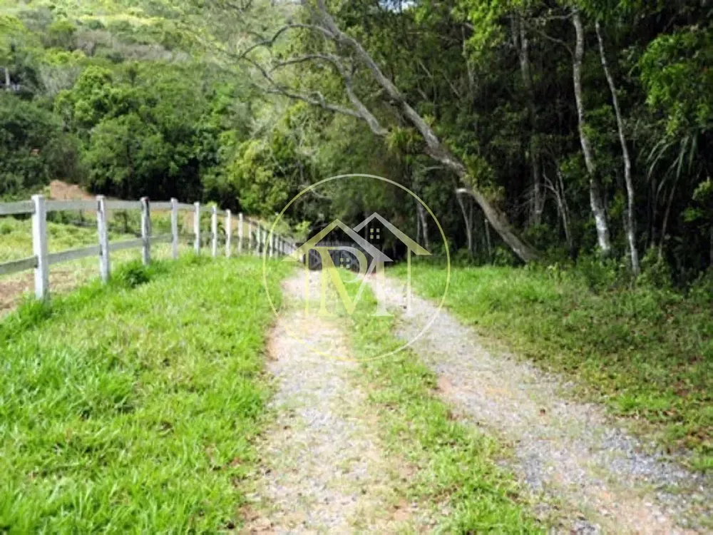 Fazenda, 700 hectares - Foto 4
