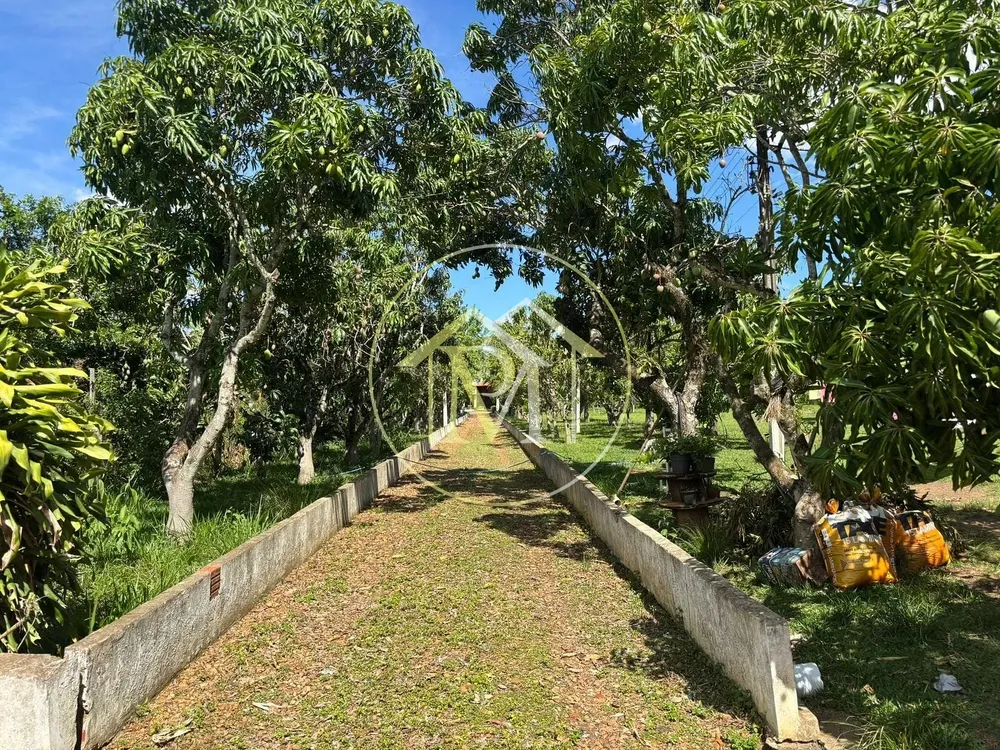 Sítio, 4 quartos, 2 hectares - Foto 4