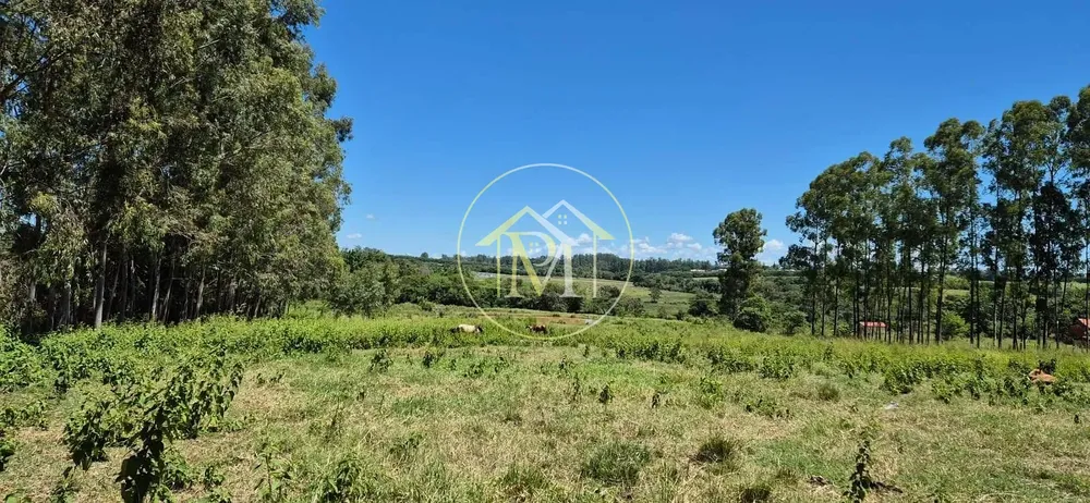Sítio, 4 quartos, 6 hectares - Foto 11