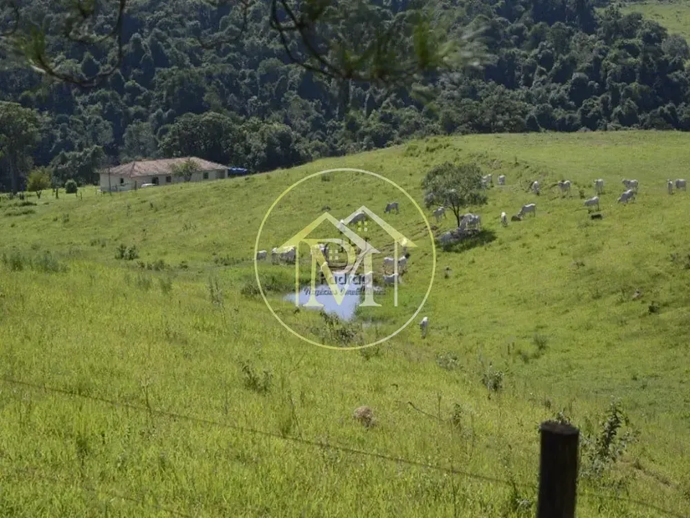 Fazenda, 278 hectares - Foto 2