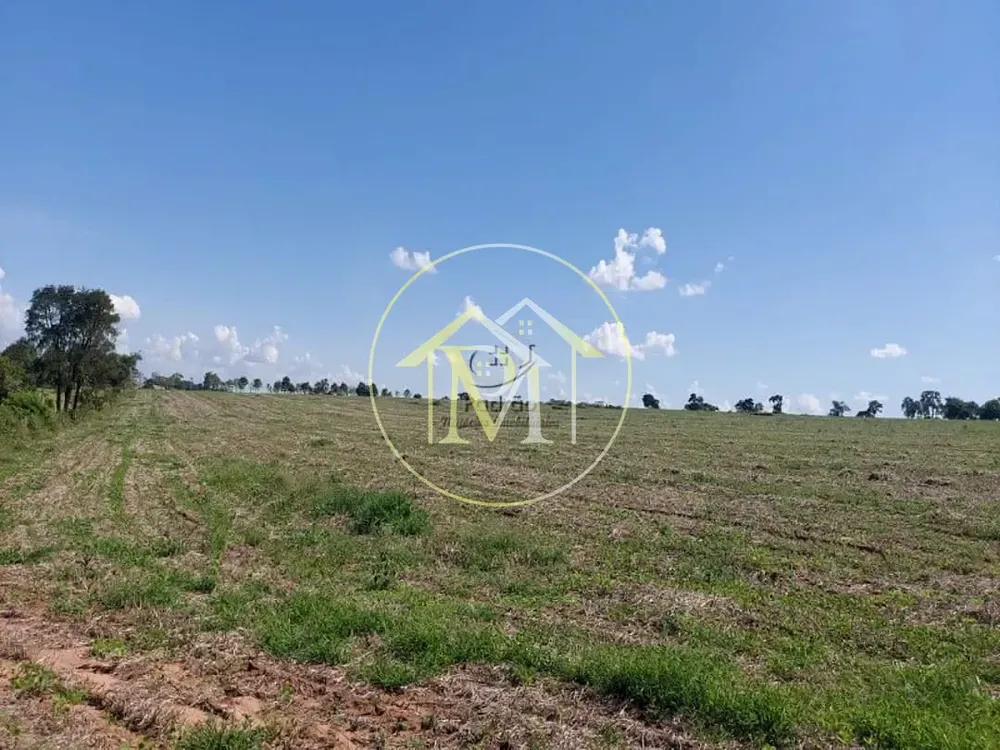 Fazenda, 140 hectares - Foto 12