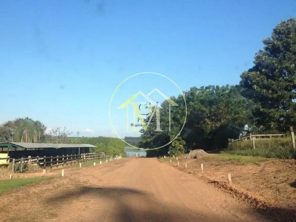 Fazenda, 140 hectares - Foto 10