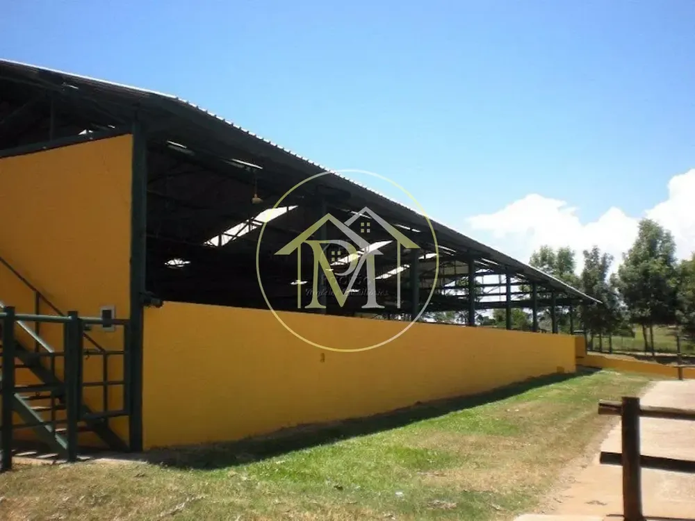 Fazenda, 140 hectares - Foto 7