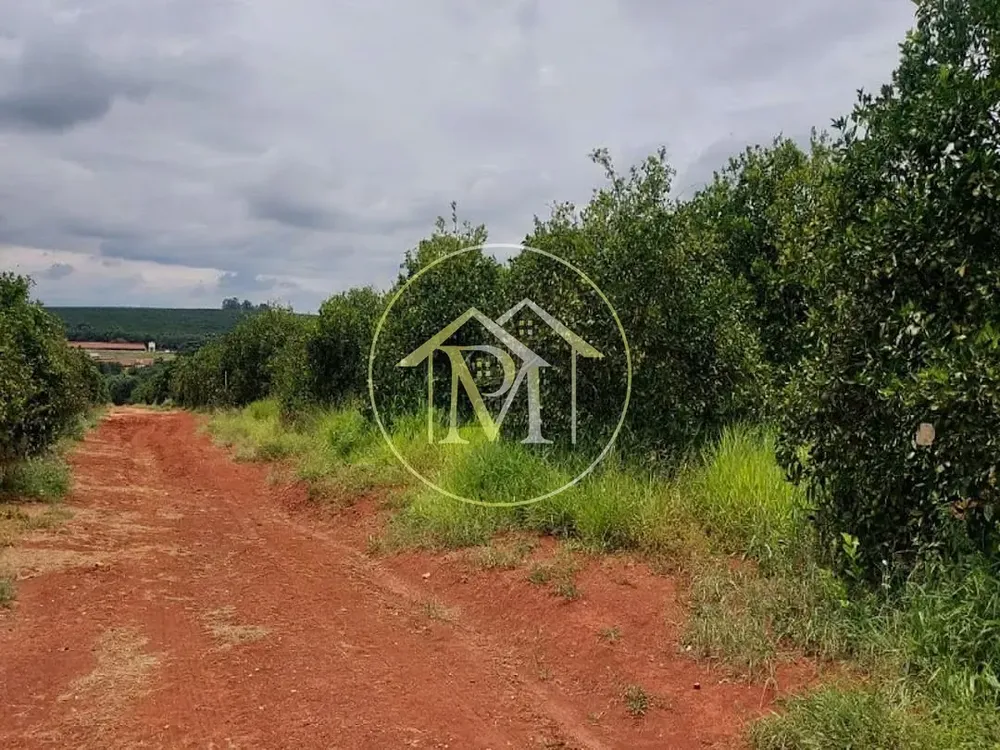 Terreno, 9 hectares - Foto 4