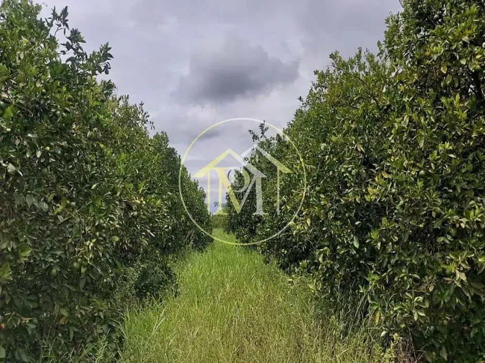 Terreno, 9 hectares - Foto 6