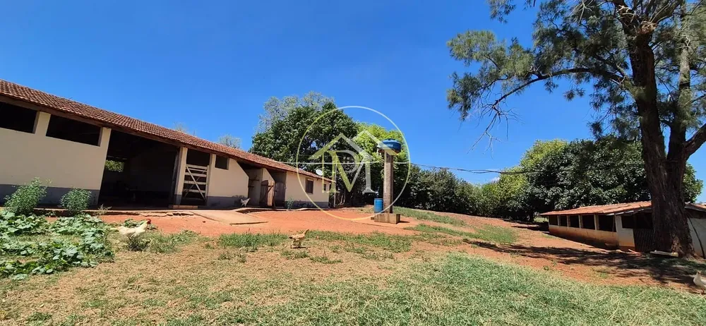 Fazenda, 29 hectares - Foto 2