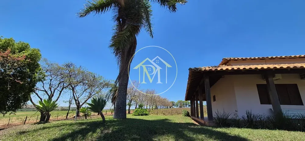 Fazenda, 29 hectares - Foto 4
