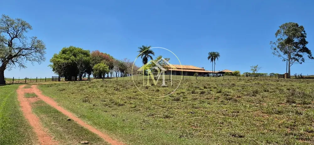 Fazenda, 29 hectares - Foto 8