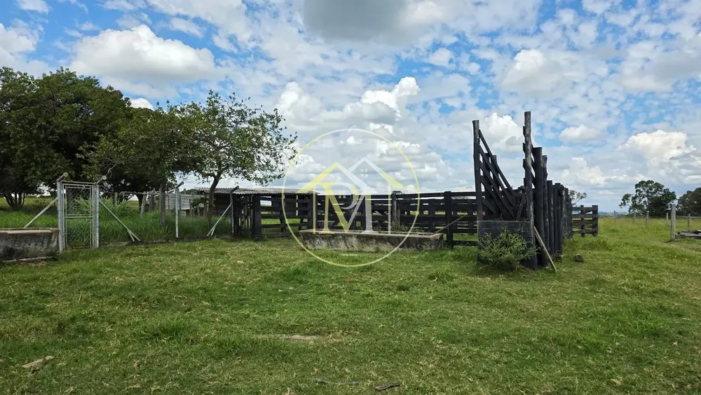 Sítio, 3 quartos, 15 hectares - Foto 1
