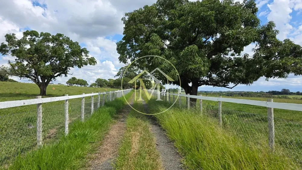Sítio, 3 quartos, 15 hectares - Foto 4