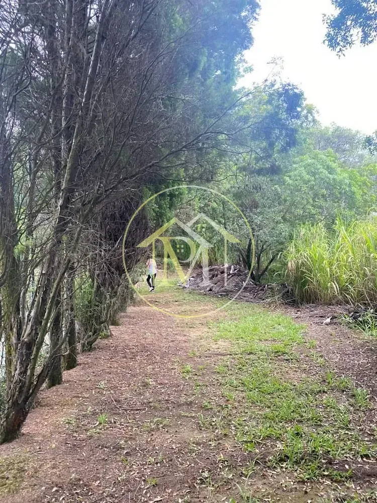 Sítio, 4 quartos, 3 hectares - Foto 7