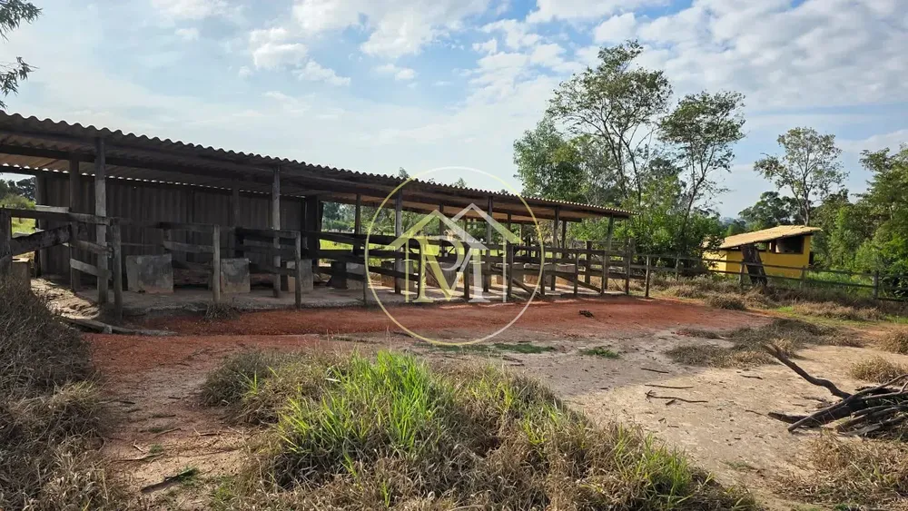 Fazenda, 28 hectares - Foto 9