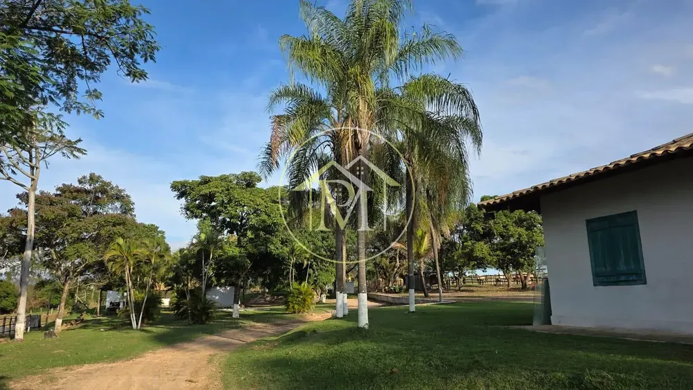 Fazenda, 28 hectares - Foto 11