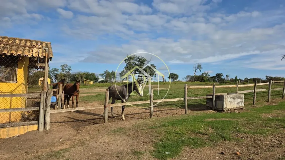 Fazenda, 28 hectares - Foto 6