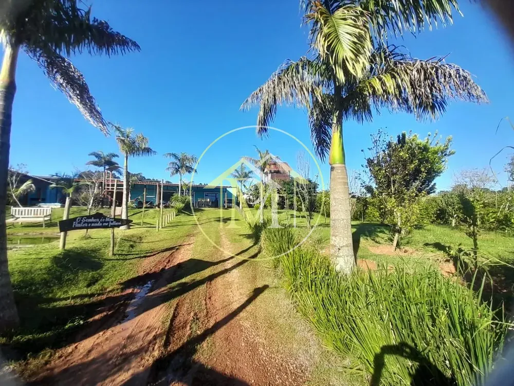 Chácara, 5 quartos, 1000 m² - Foto 6