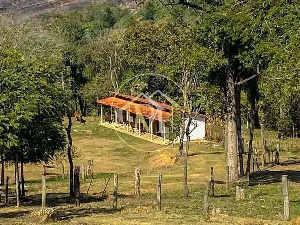 Sítio, 3 quartos, 6 hectares - Foto 6