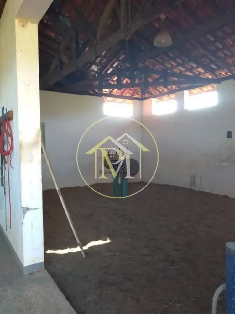 Fazenda, 54 hectares - Foto 4