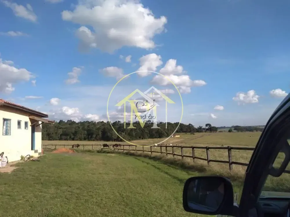 Fazenda, 54 hectares - Foto 7