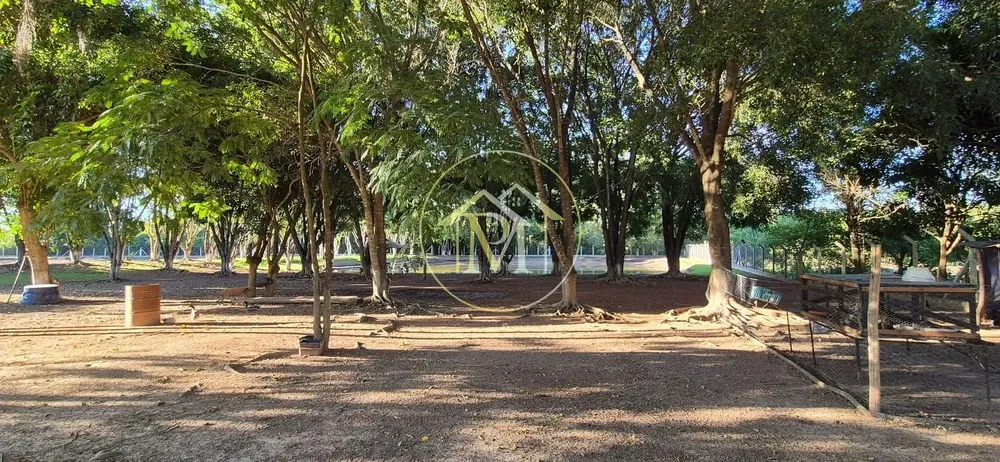 Sítio, 4 quartos, 17 hectares - Foto 7