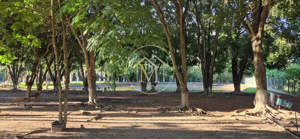 Sítio, 4 quartos, 17 hectares - Foto 8