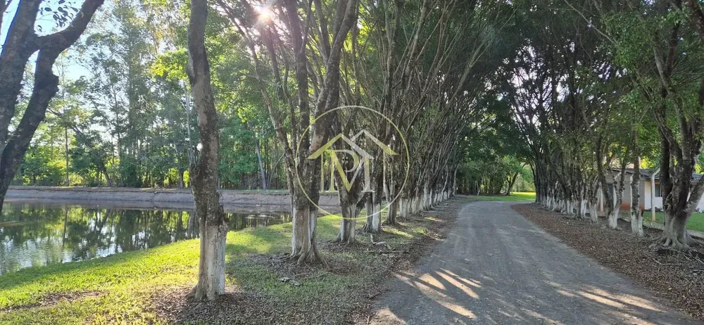 Sítio, 4 quartos, 17 hectares - Foto 12