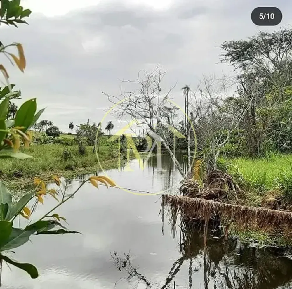 Sítio, 5 quartos, 7 hectares - Foto 6