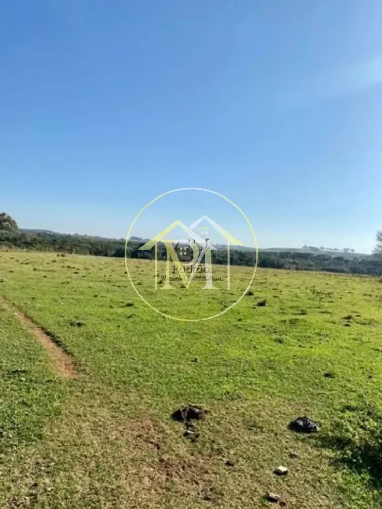 Terreno, 33 hectares - Foto 3