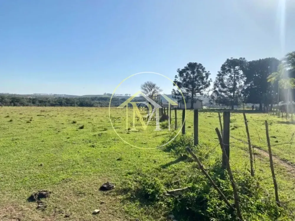 Terreno, 33 hectares - Foto 4