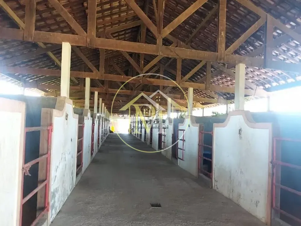 Fazenda, 126 hectares - Foto 3