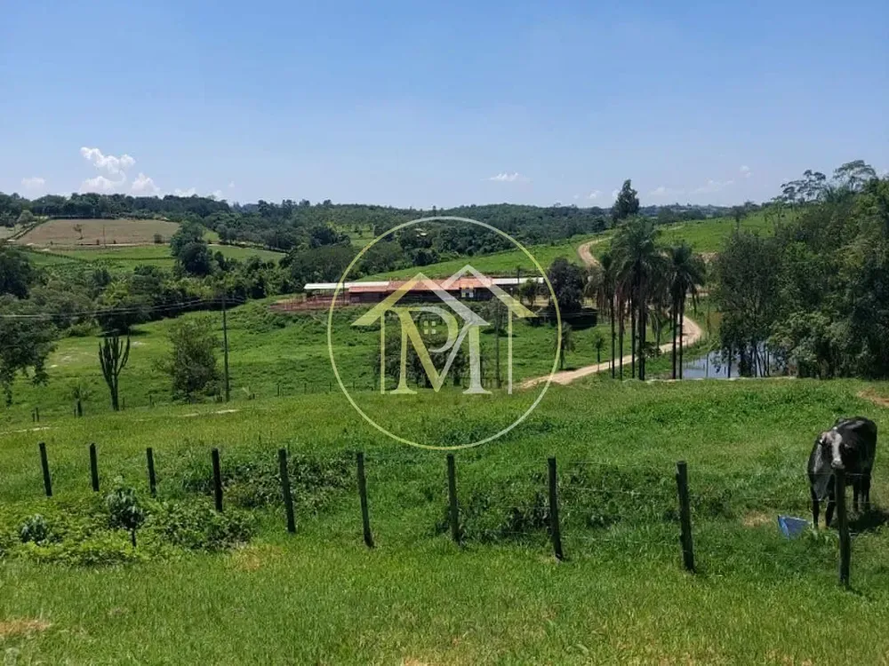 Fazenda, 126 hectares - Foto 6