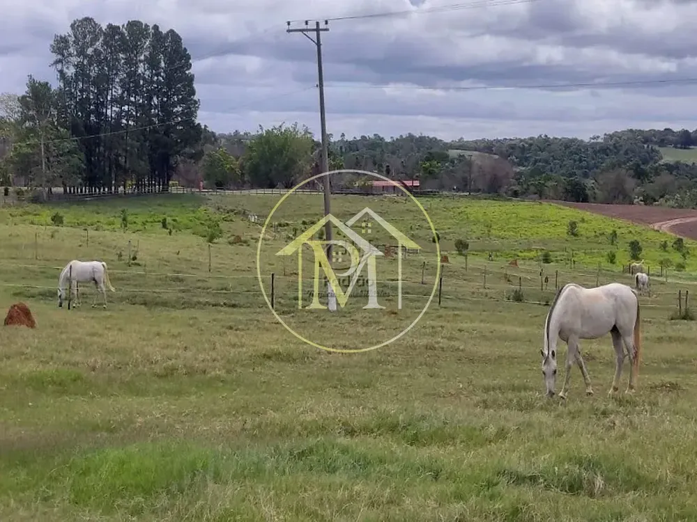 Fazenda, 13 hectares - Foto 12