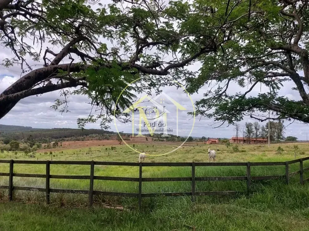 Fazenda, 13 hectares - Foto 11