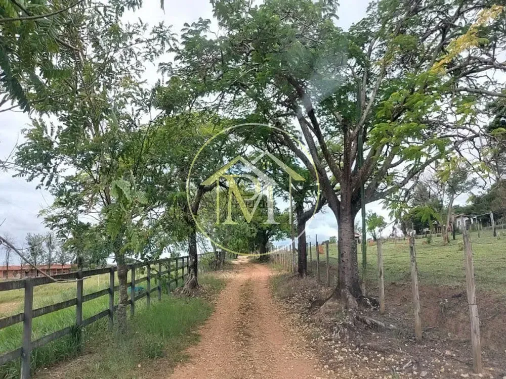 Fazenda, 13 hectares - Foto 10