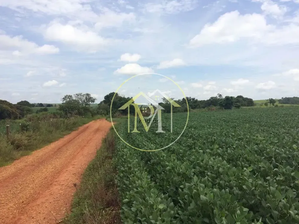 Fazenda, 94 hectares - Foto 4