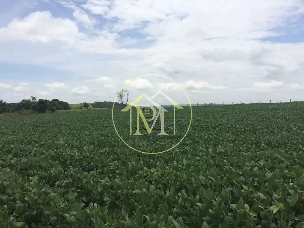 Fazenda, 94 hectares - Foto 8