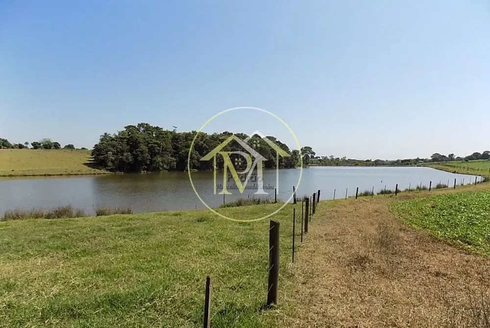 Fazenda, 94 hectares - Foto 7