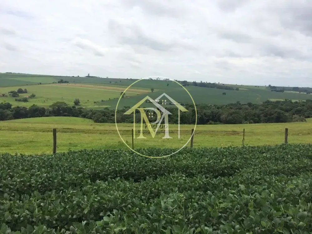 Fazenda, 94 hectares - Foto 3