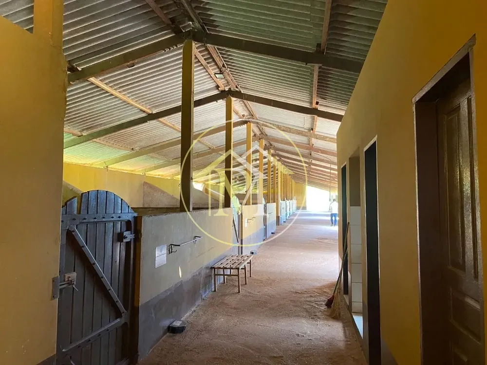 Fazenda, 102 hectares - Foto 6