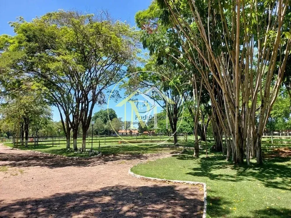 Sítio, 5 quartos, 6 hectares - Foto 1