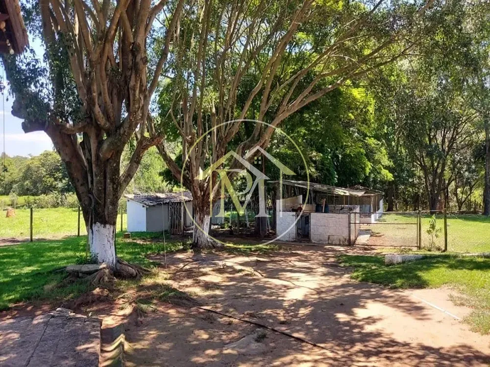 Sítio, 5 quartos, 6 hectares - Foto 7