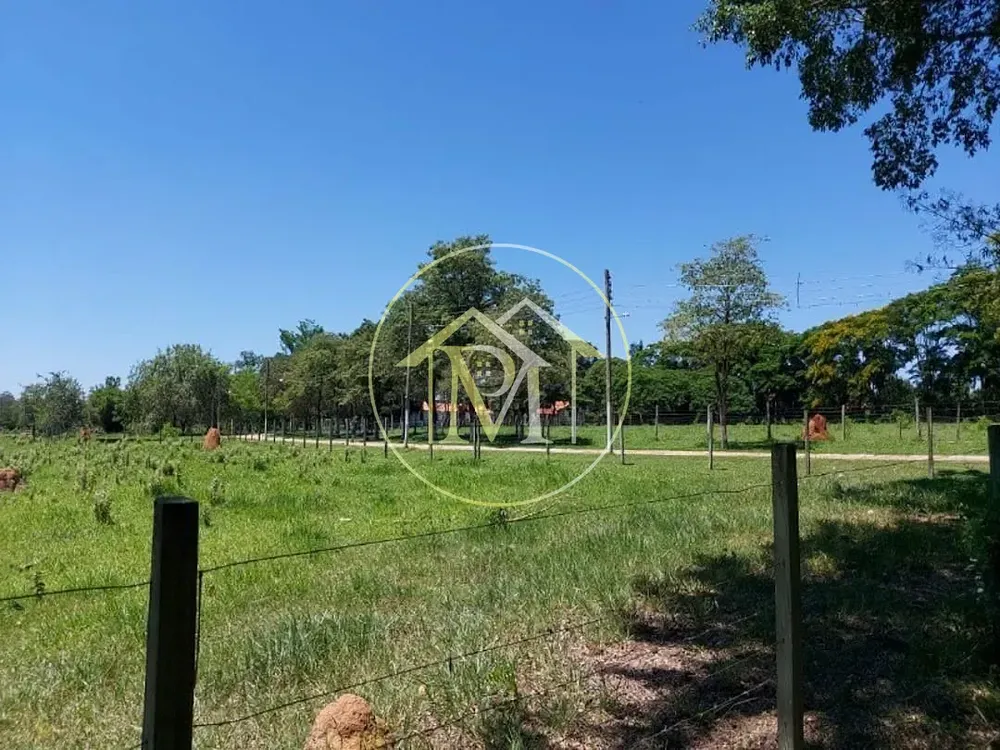 Sítio, 5 quartos, 6 hectares - Foto 8