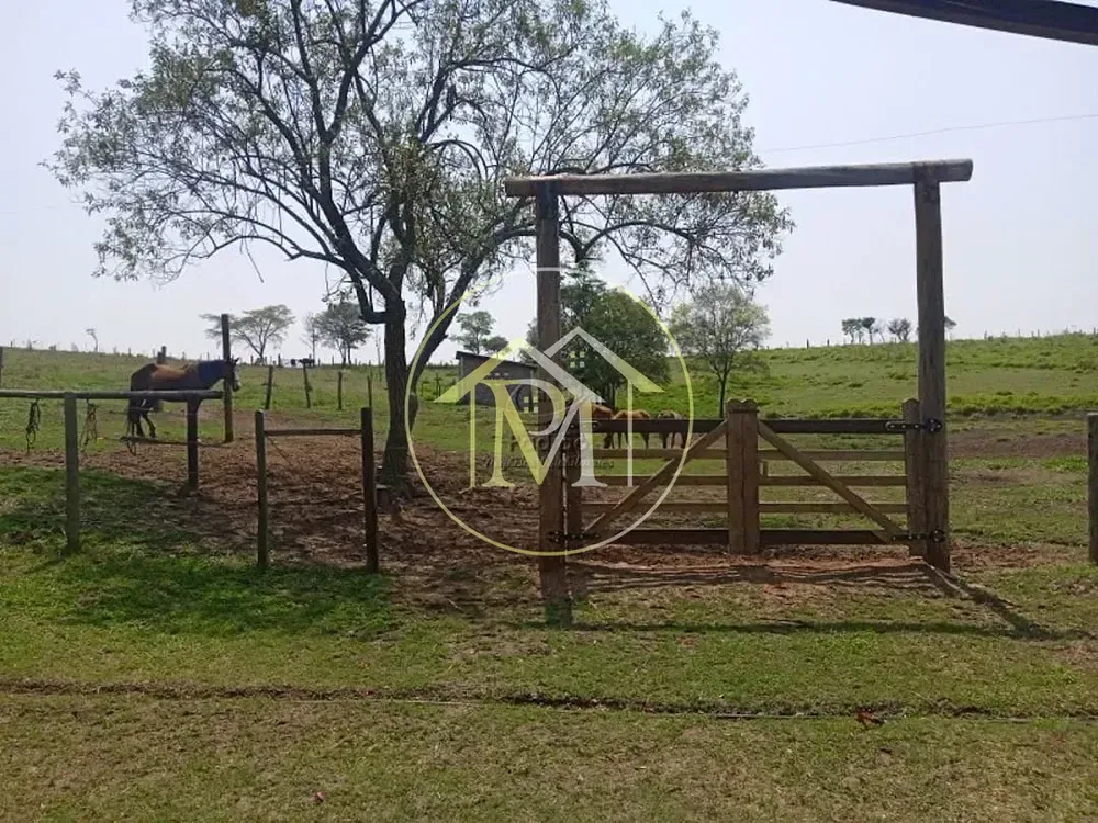 Chácara, 4 quartos, 8 hectares - Foto 3