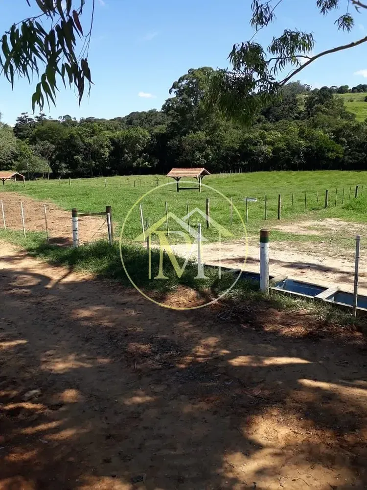 Fazenda, 322 hectares - Foto 6